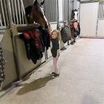 A Journey of Family, Inspiration, and Equine Passion