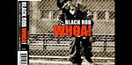 Black Rob's Net Worth and Untold Revelations