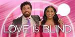 Bliss from Love Is Blind: Exploring the Phenomenon of Connection and Commitment