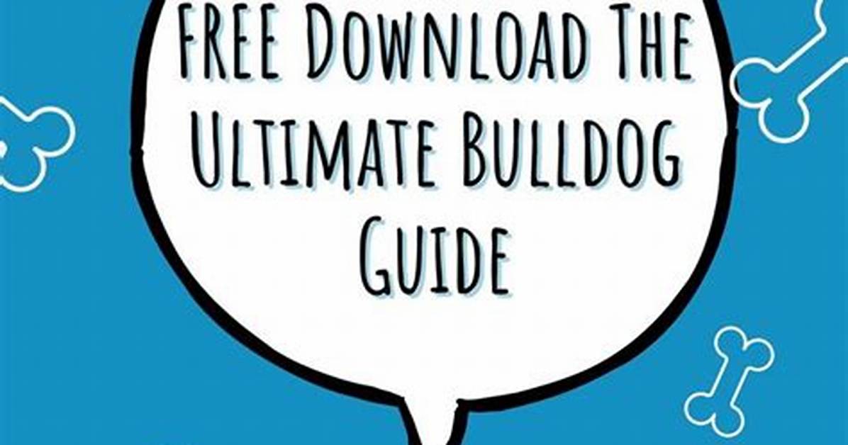 Daily Bulldog: the Ultimate Guide to Caring for Your Bulldog
