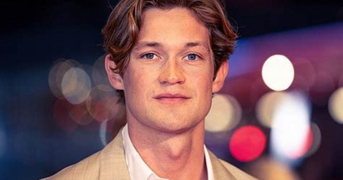 Damian Hardung: the Rising Star of the Entertainment Industry