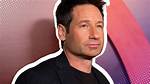 David Duchovny: the Versatile Star of Film and Television