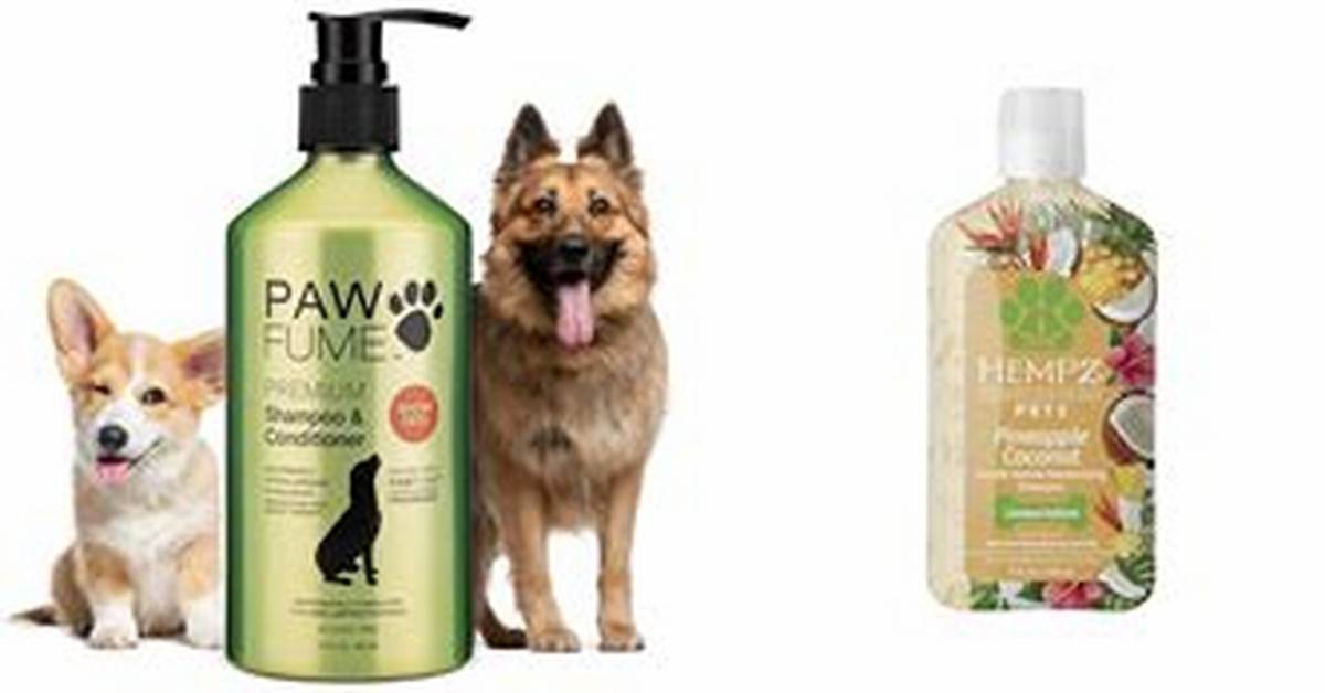 Dog Shampoo That Smells Great: the Ultimate Guide for Pet Owners
