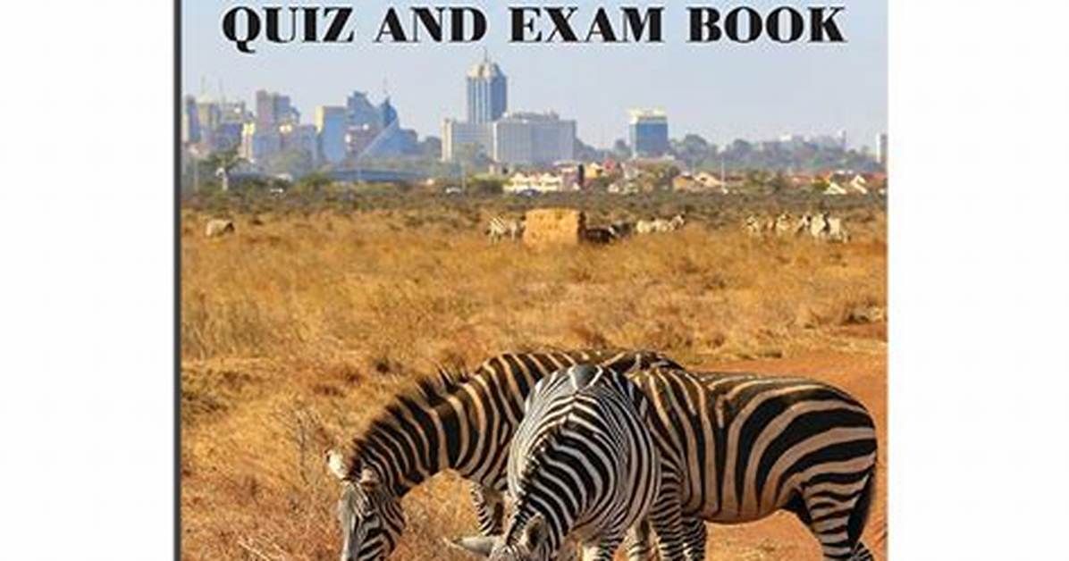 Exploring the World of Berazzer: a Comprehensive Guide