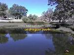 Frazier Park, Ca: a Hidden Gem in the Mountains
