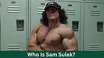 Galantis Net Worth