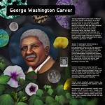 George Washington Carver