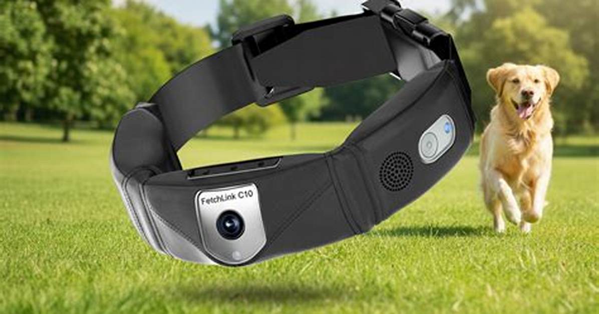 Gps Puppy Collar: a Comprehensive Guide to Keeping Your Furry Friend Safe
