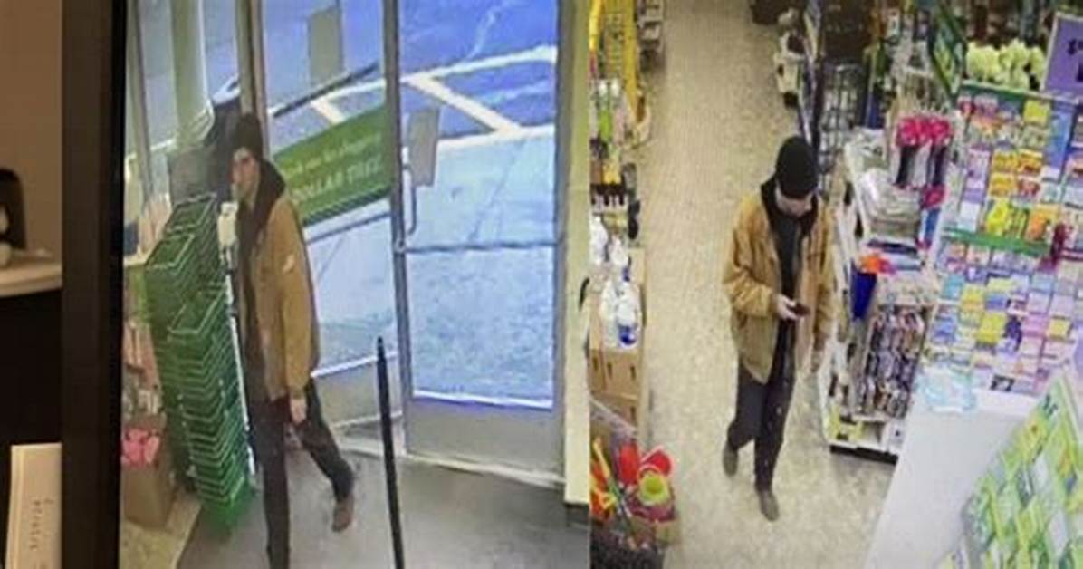 Indecent Exposure: the Controversy Surrounding Dollar Tree Parking Lot Celebrity Incidents