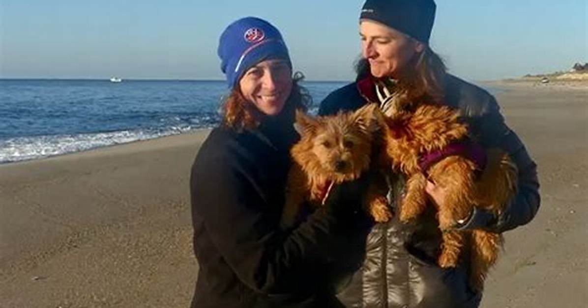 Jill Schlesinger's Wife: a Deep Dive into Their Relationship and Life Together