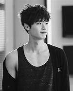 Lee Jong Suk: the Rise of a Korean Drama Star