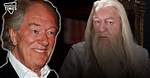 Michael Gambon Net Worth – How Much Is Gambon Worth?