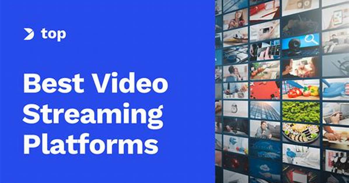 Mkvpoint: All the Best Downloads and Streaming Options You Need to Know