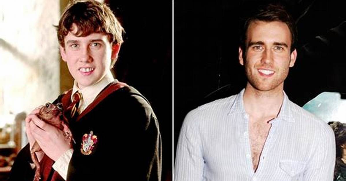 Neville Longbottom Now: the Journey of Growth and Transformation
