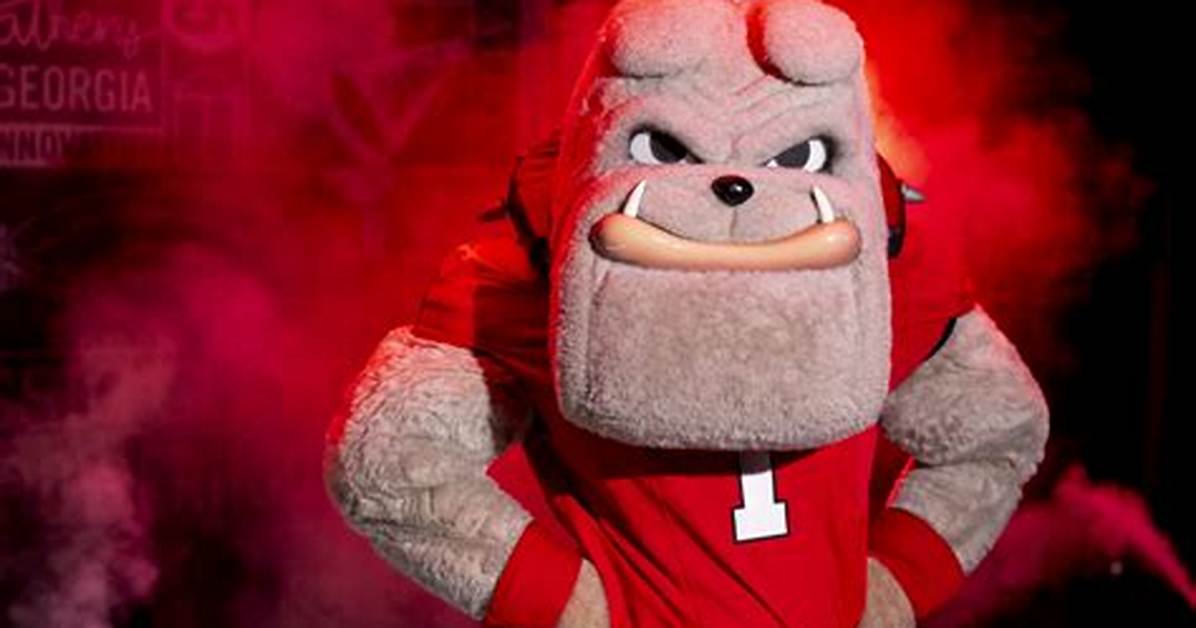 The Uga Mascot: a Symbol of Tradition and Spirit in College Football