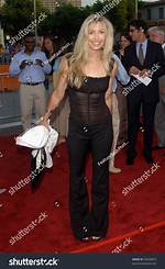 Uncover the Multifaceted World of Heather Thomas: Icon, Advocate, and Trailblazer