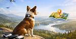 Understanding Dog Gps Trackers: a Comprehensive Guide