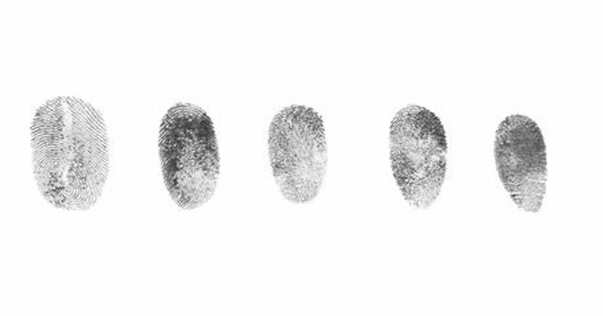 Understanding Girls Fingerprint: a Comprehensive Guide