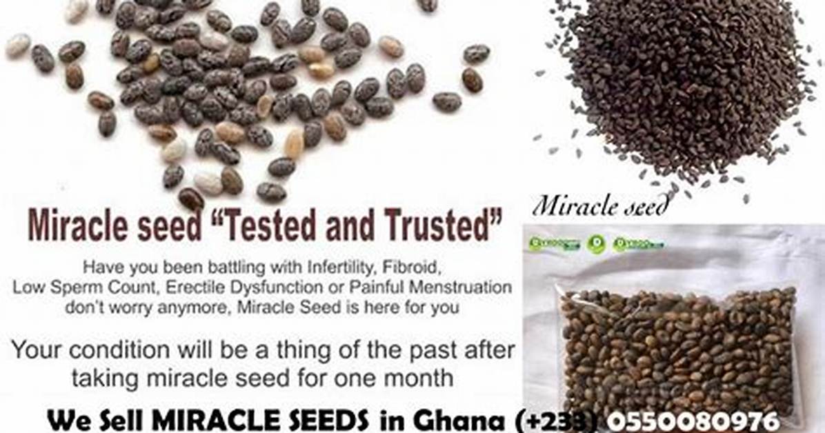 Unlocking the Benefits of Miracle Seed: a Comprehensive Guide