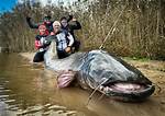 World Record Catfish: the Ultimate Guide to Giant Freshwater Fish