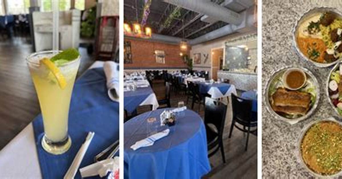 Zaytoon Mediterranean: the Essence of Mediterranean Cuisine