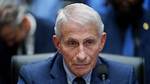 Zoran Stanojevic Biography, Wikipedia, Age and Net Worth: Revelle Balmain Former Boss Arrested Post a Forensic Search